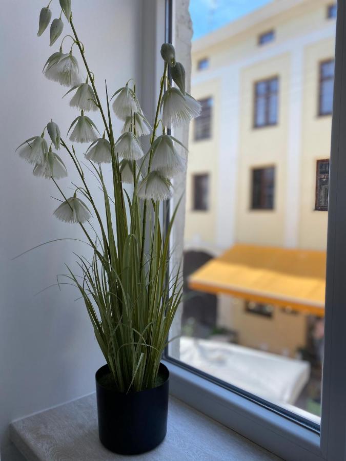 Homelike Apartment Lvov Exteriér fotografie